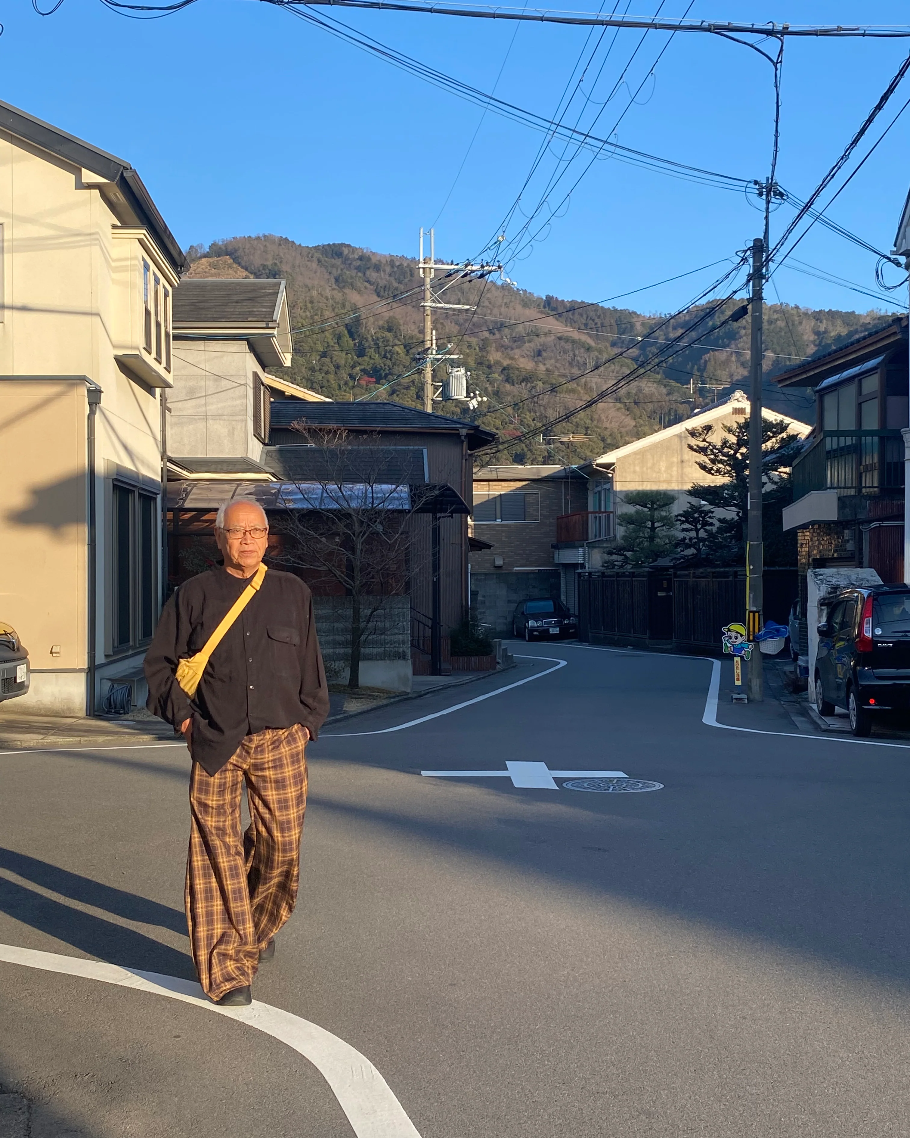 Shawties Puff Pant in Honeycomb - Image 10